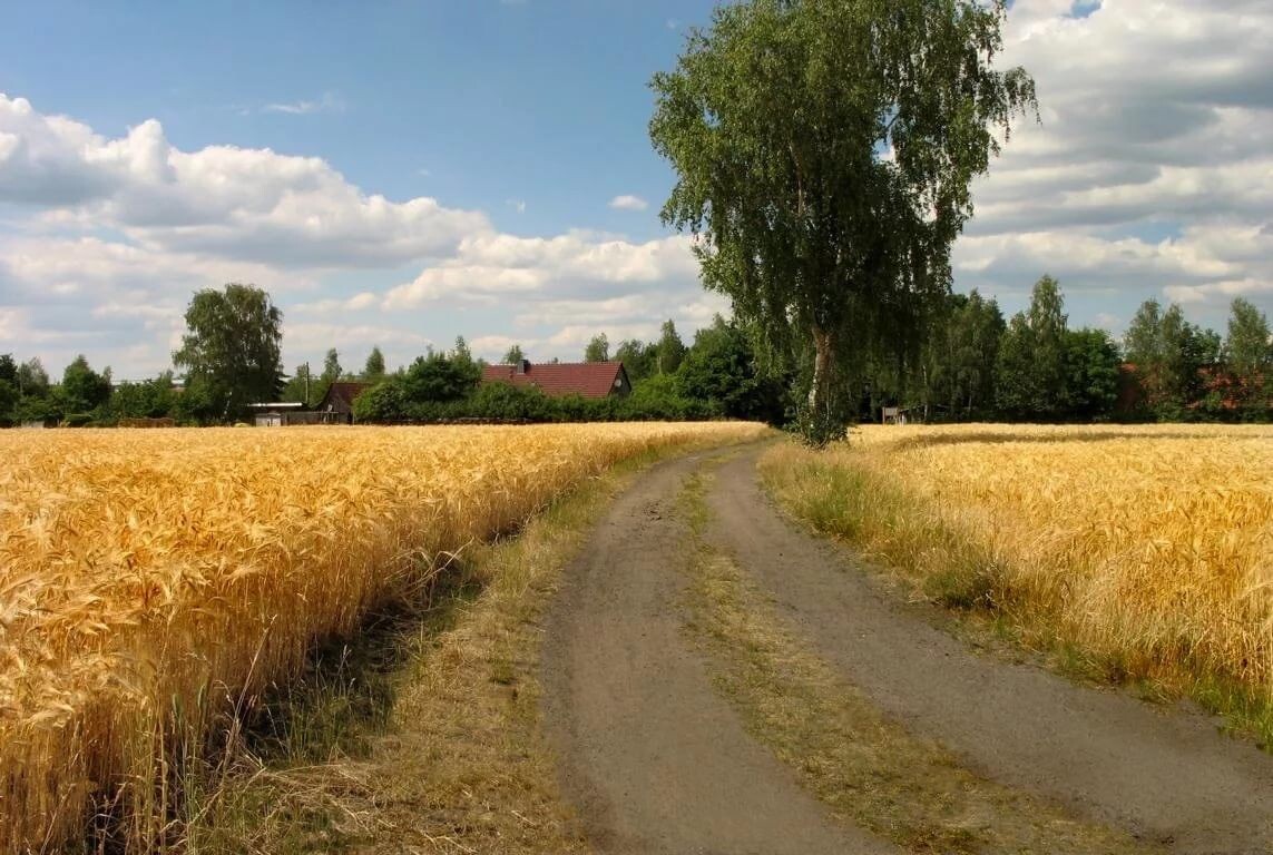 Яндекс.Картинки