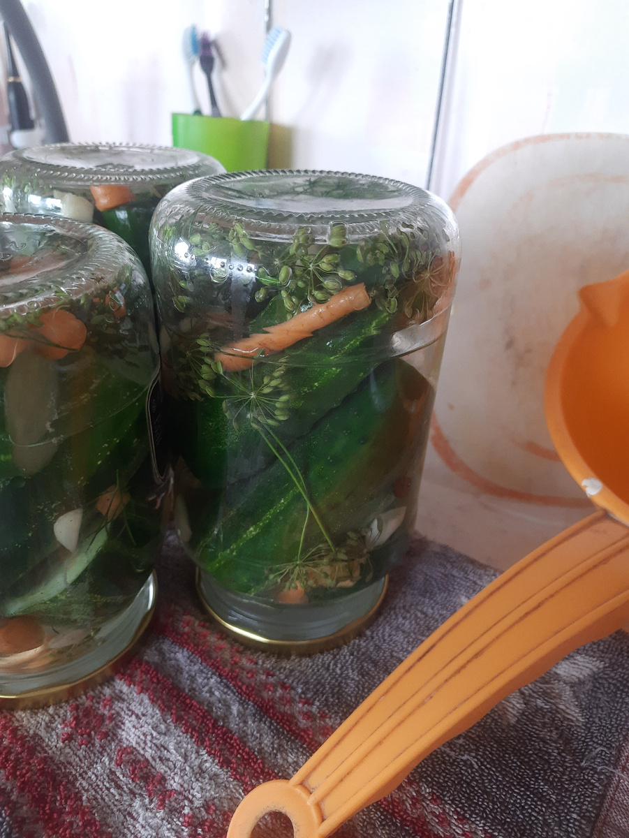 Мои огурцы!