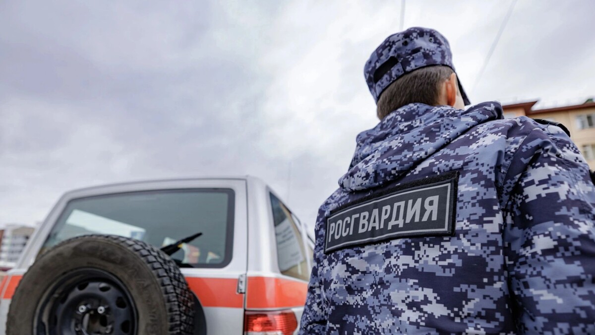    Фото: Юлия Чудинова/«Ямал-Медиа»