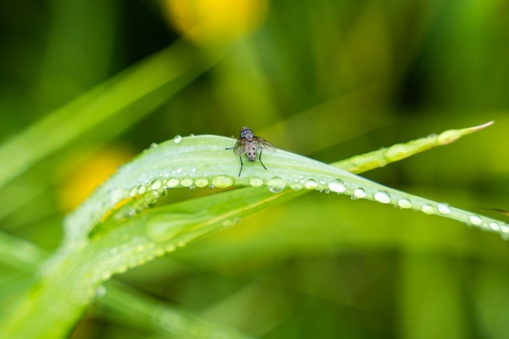    Фото Андрея Заржецкого
