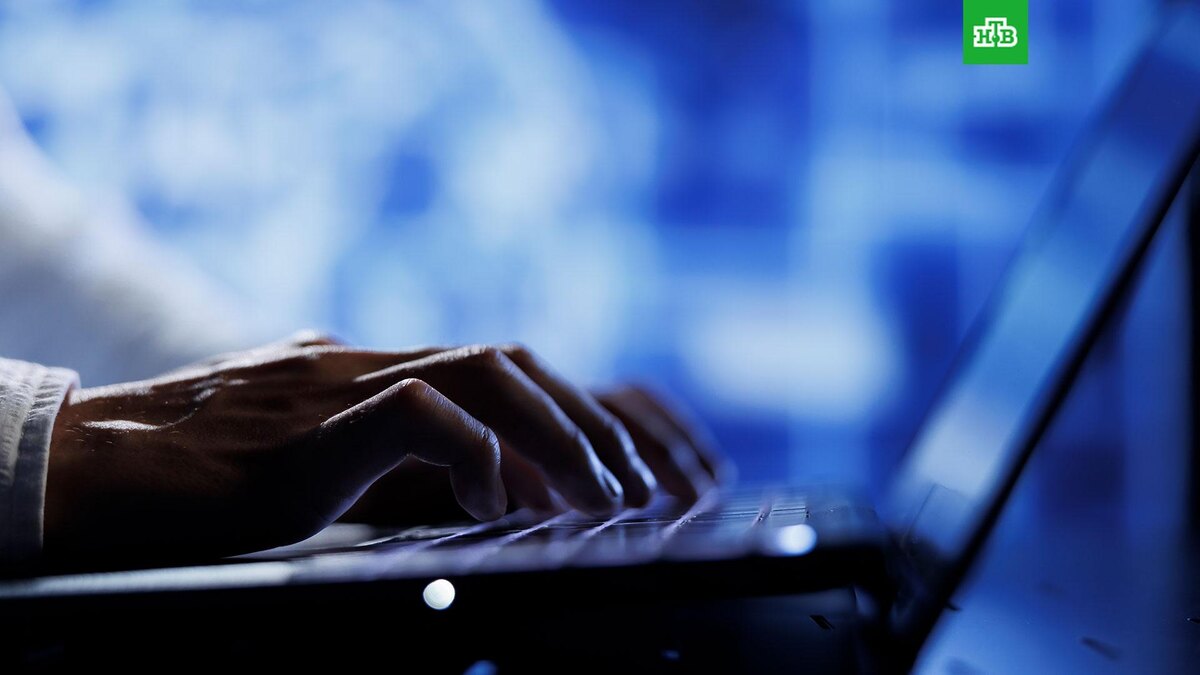    Фото: freepik.com / vk.com