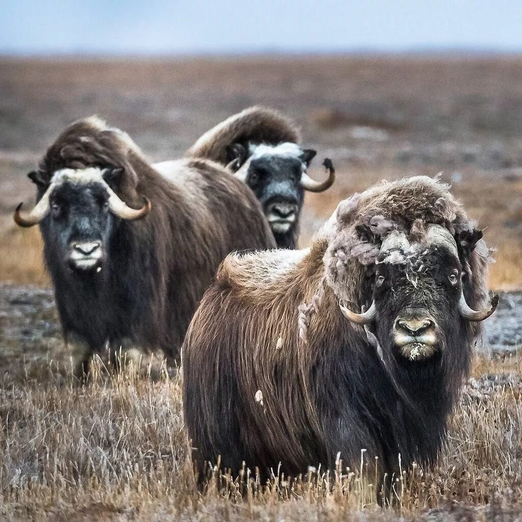 Фото из архива заповедника