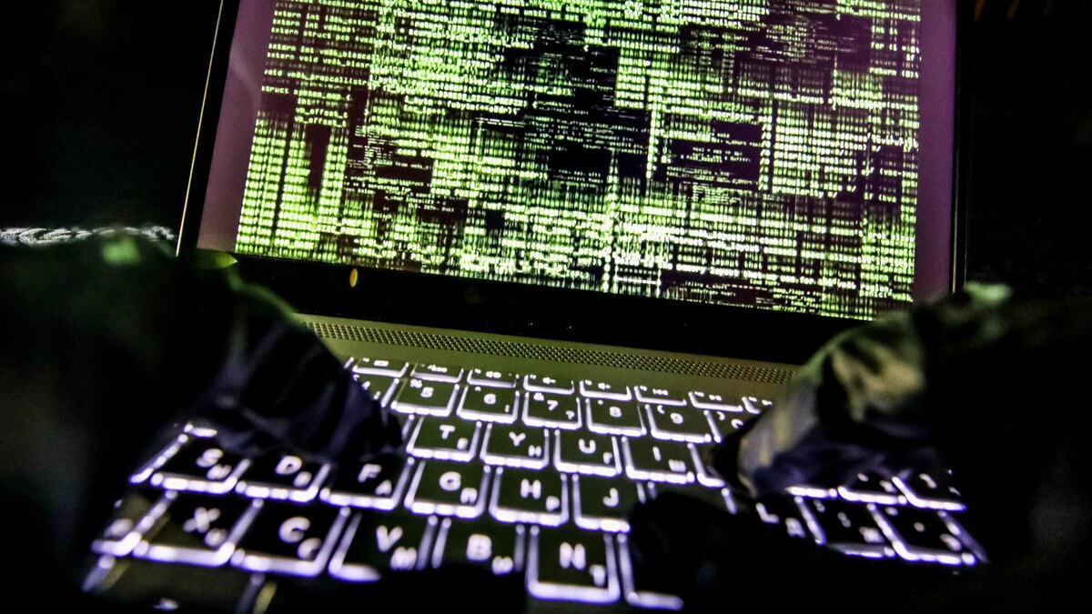 Фото: Lantyukhov Sergey/globallookpress.com