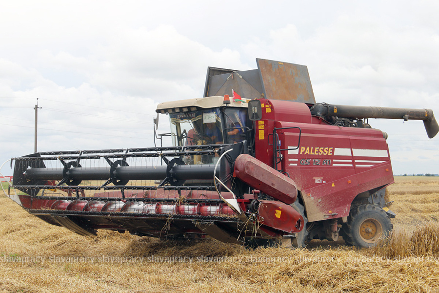     В Беларуси намолотили 4 млн тонн зерна