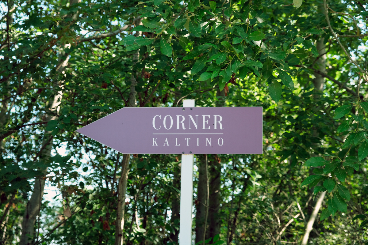 Указатель к КПП коттеджного посёлка «Корнер Кальтино» после съезда с Колтушского шоссе. Нам по стрелке, а это налево. 