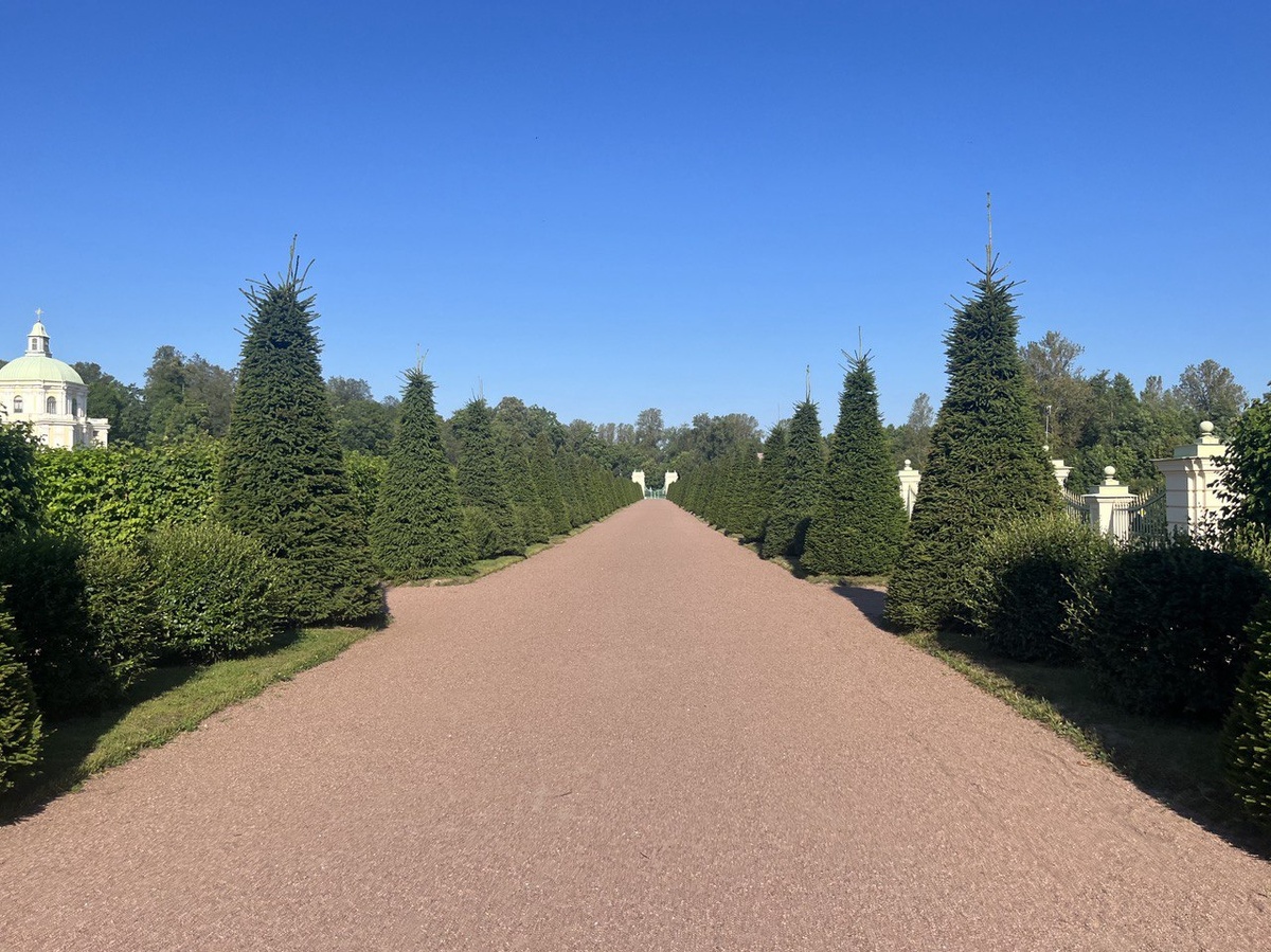 алеея встречается во многих исторических фильмах