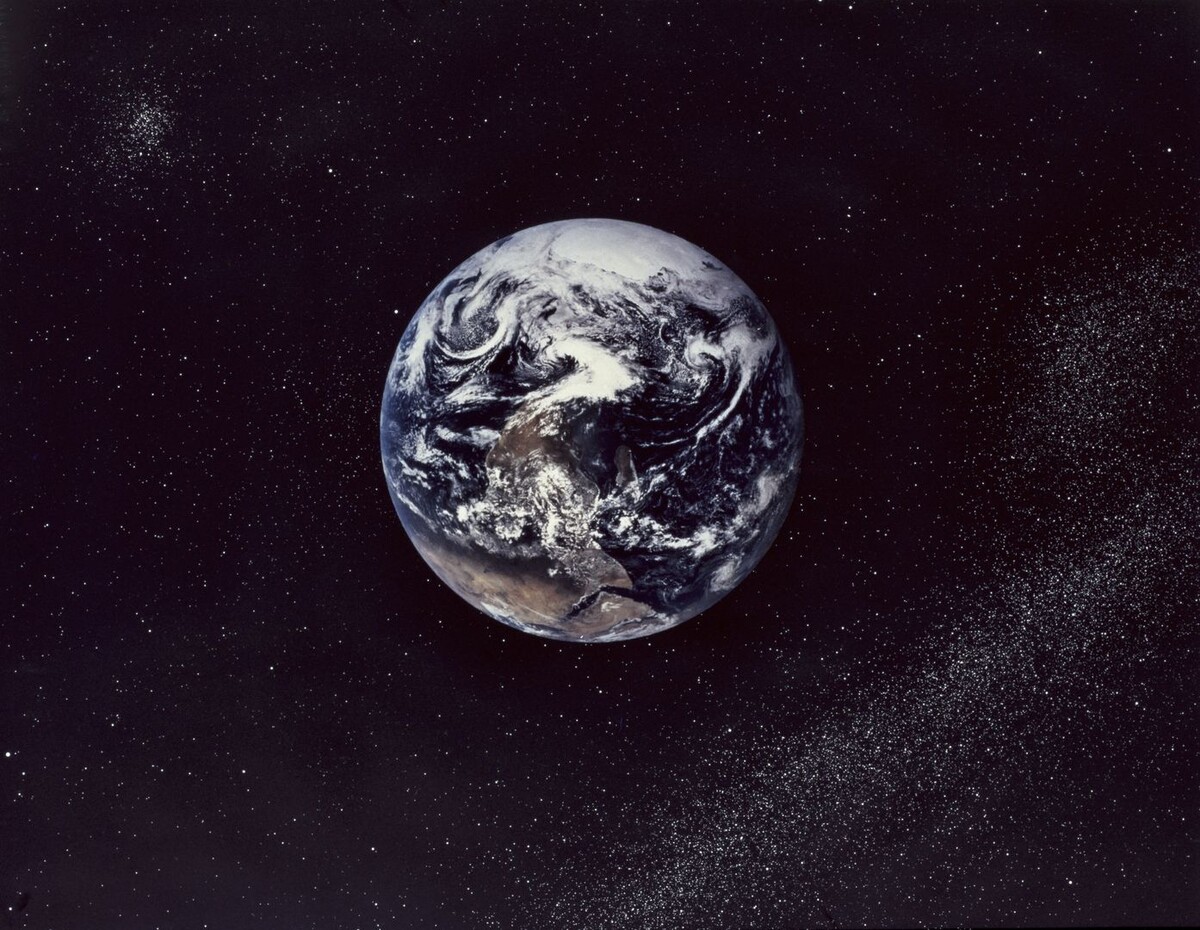     / Источник: © Global Look Press