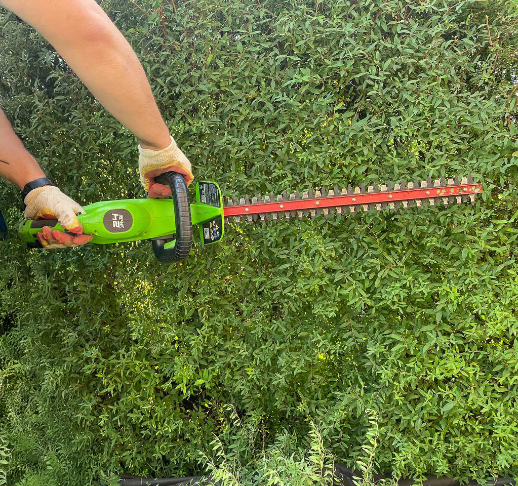 Процесс стиржки живой изгороди