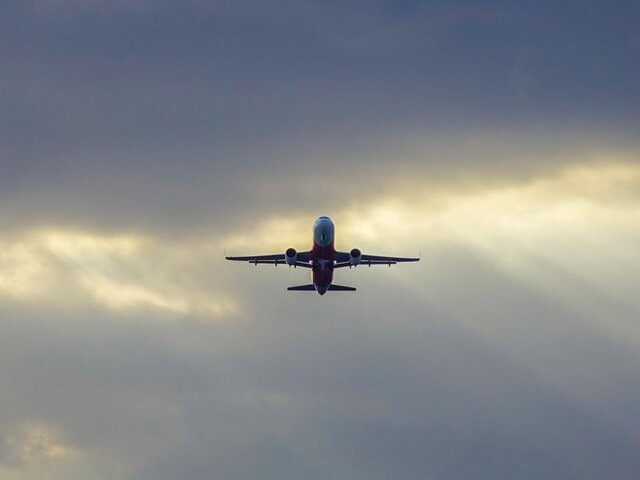    Фото: 123RF/langdu8x