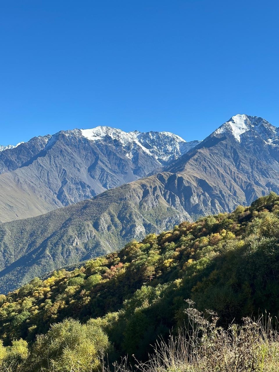 Виды по пути восхитительные
