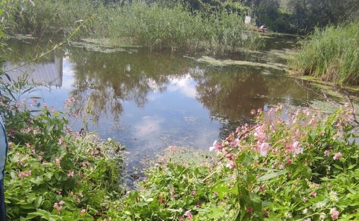 Фото:. Место происшествия ╱ СК по Алтайскому краю