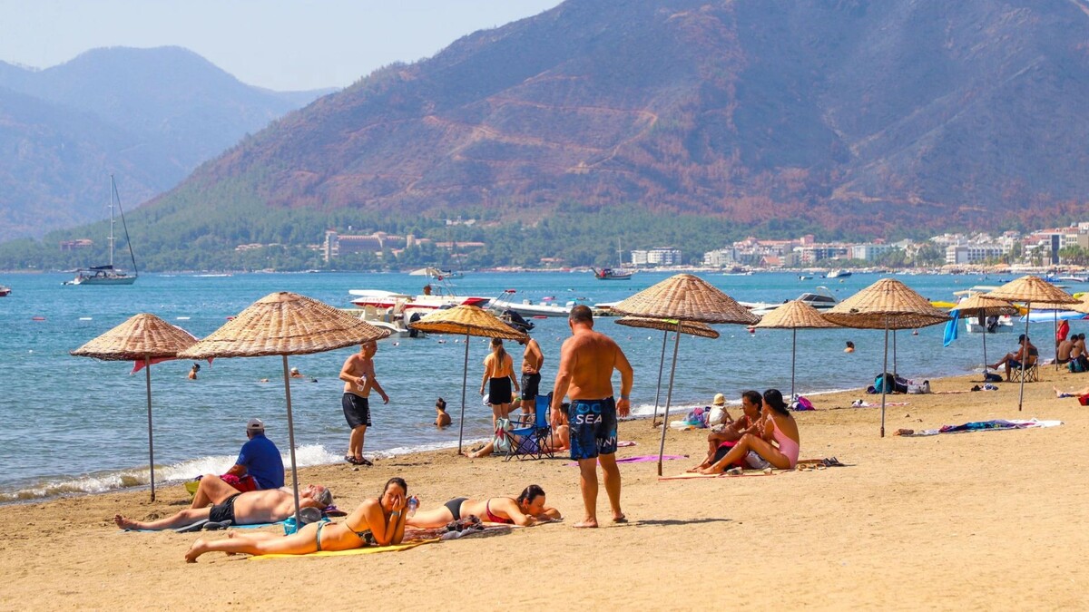    Фото: Sergei Sokolnikov/Shutterstock/Fotodom