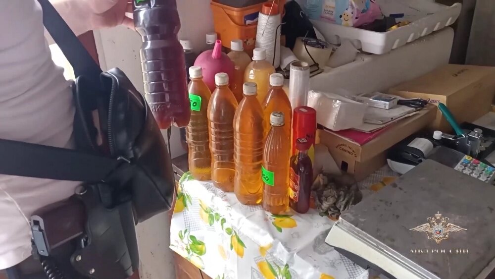    Фото: МВД России