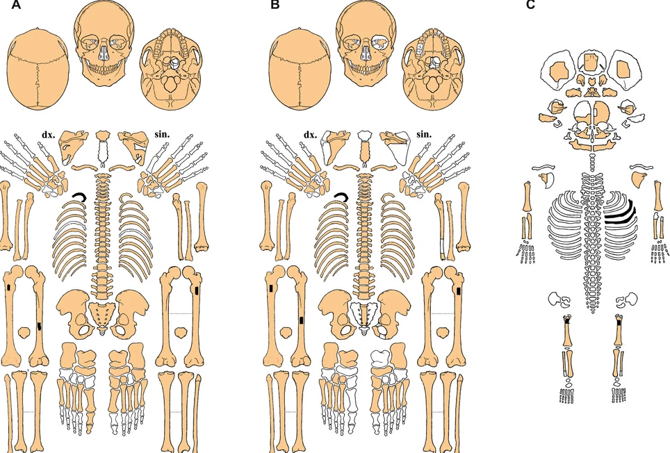     Фото: Archaeological and Anthropological Sciences