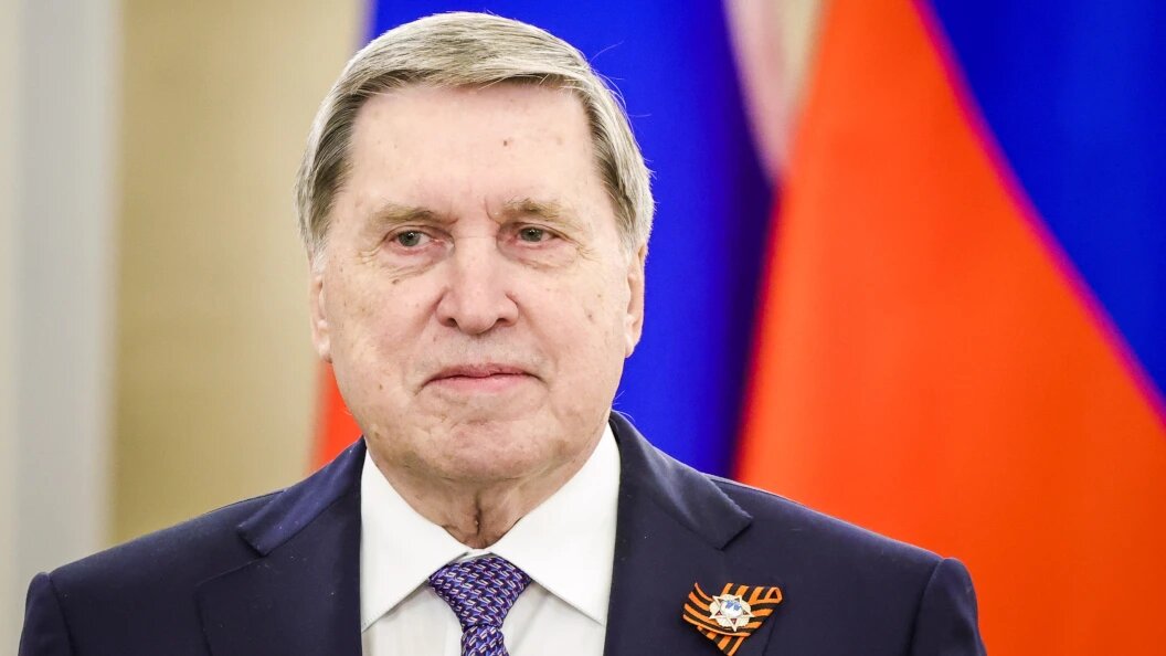    Фото: Roman Naumov/URA.RU/Globallookpress