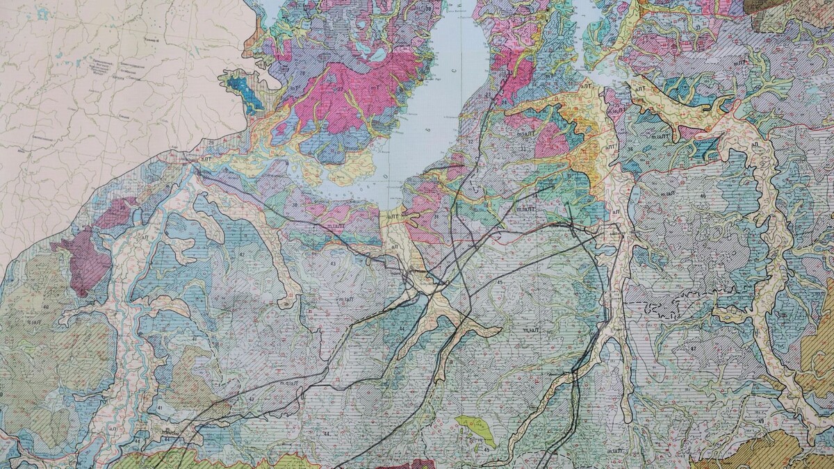    Фото: Андрей Ткачев/«Ямал-Медиа»