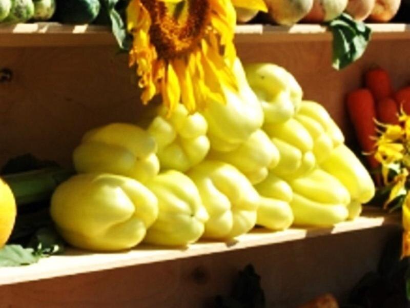    Иллюстрация фотобанка Ростовского отделения СЖР admin