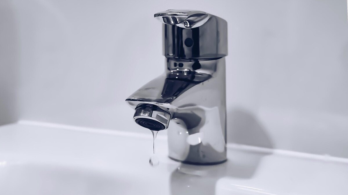    Фото: unsplash.com