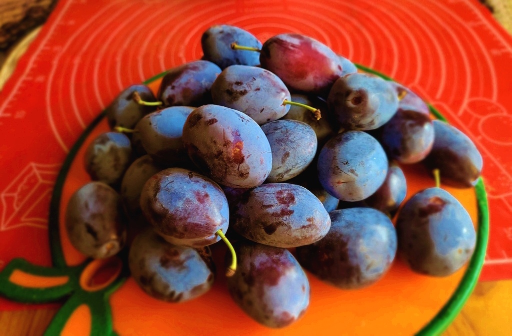 Наш чернослив