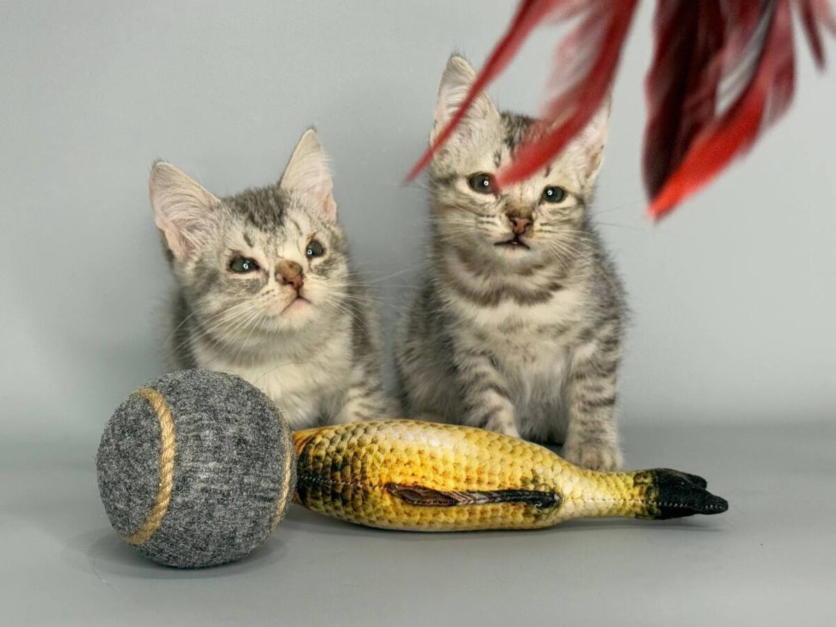 Мальчик-кривоносик и девочка с раскосыми глазками. Фото из архива автора