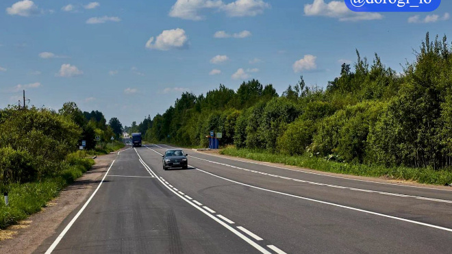 Фото: Dorogi_lo/telegram