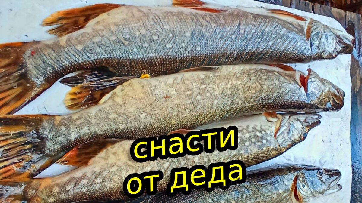 Снасть на щуку