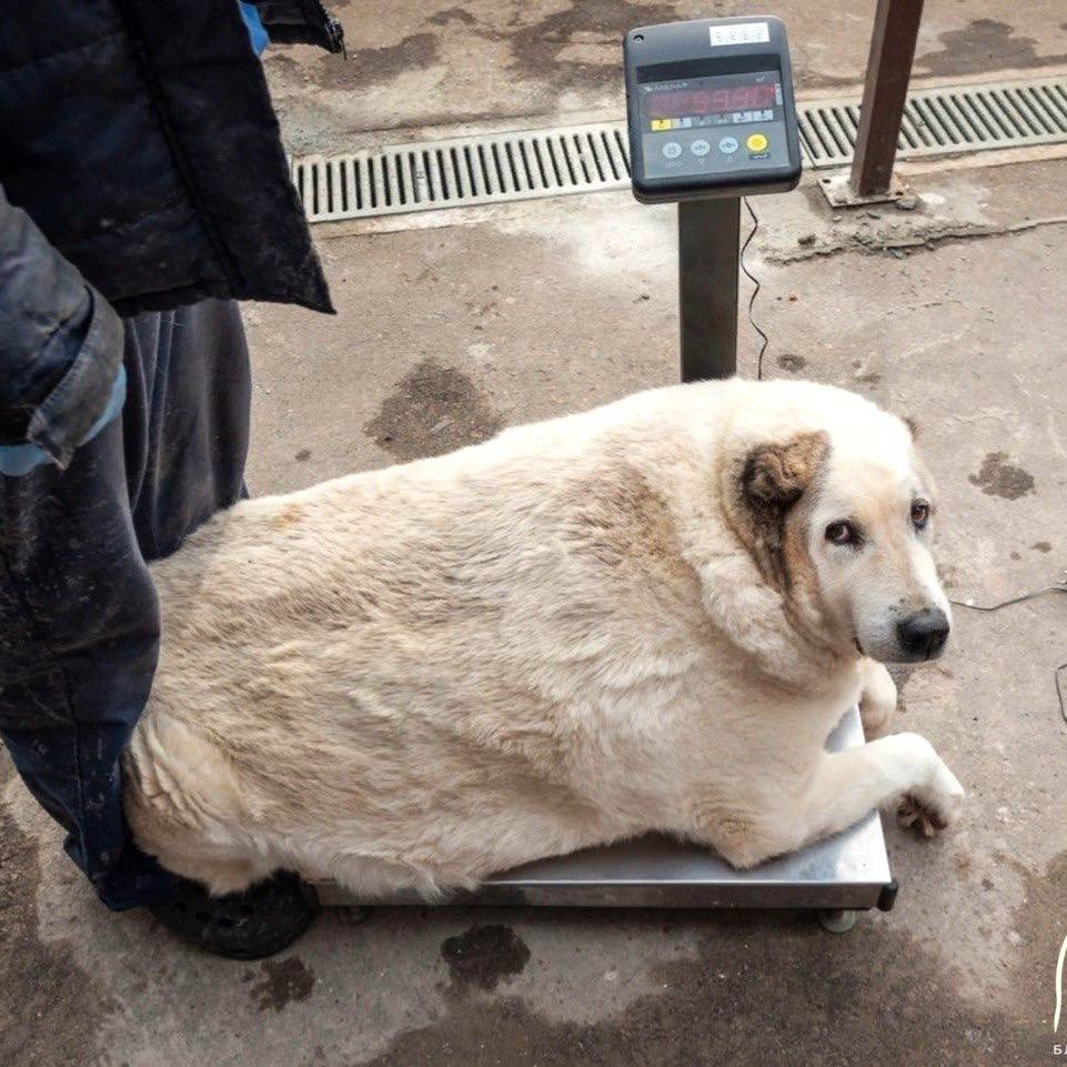 Фото — канал Нижний Новгород, Ч/Б