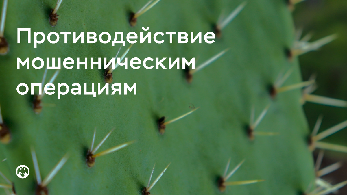 Фото: Shutterstock/ S Tapia