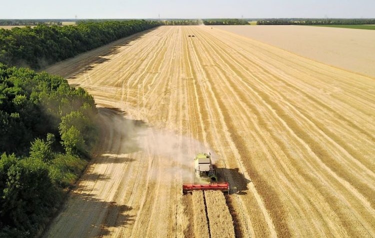    Фото: Администрация Краснодарского края
