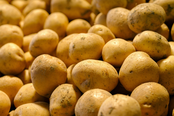     engin akyurt/Usplash