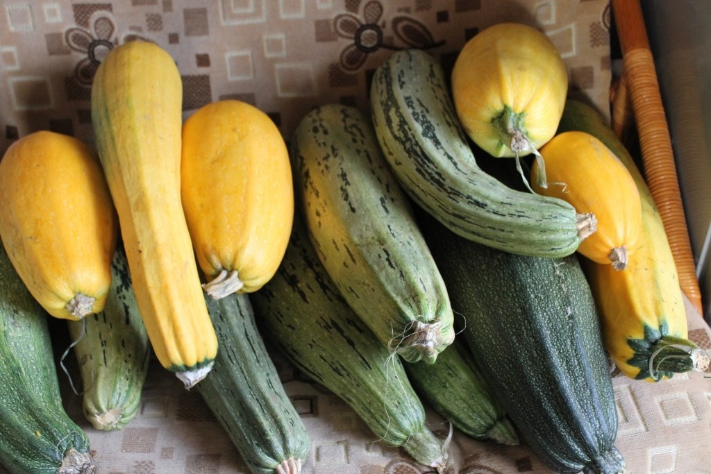 Это не дрова, но... Кабачки тоже носим охапками в сезон...