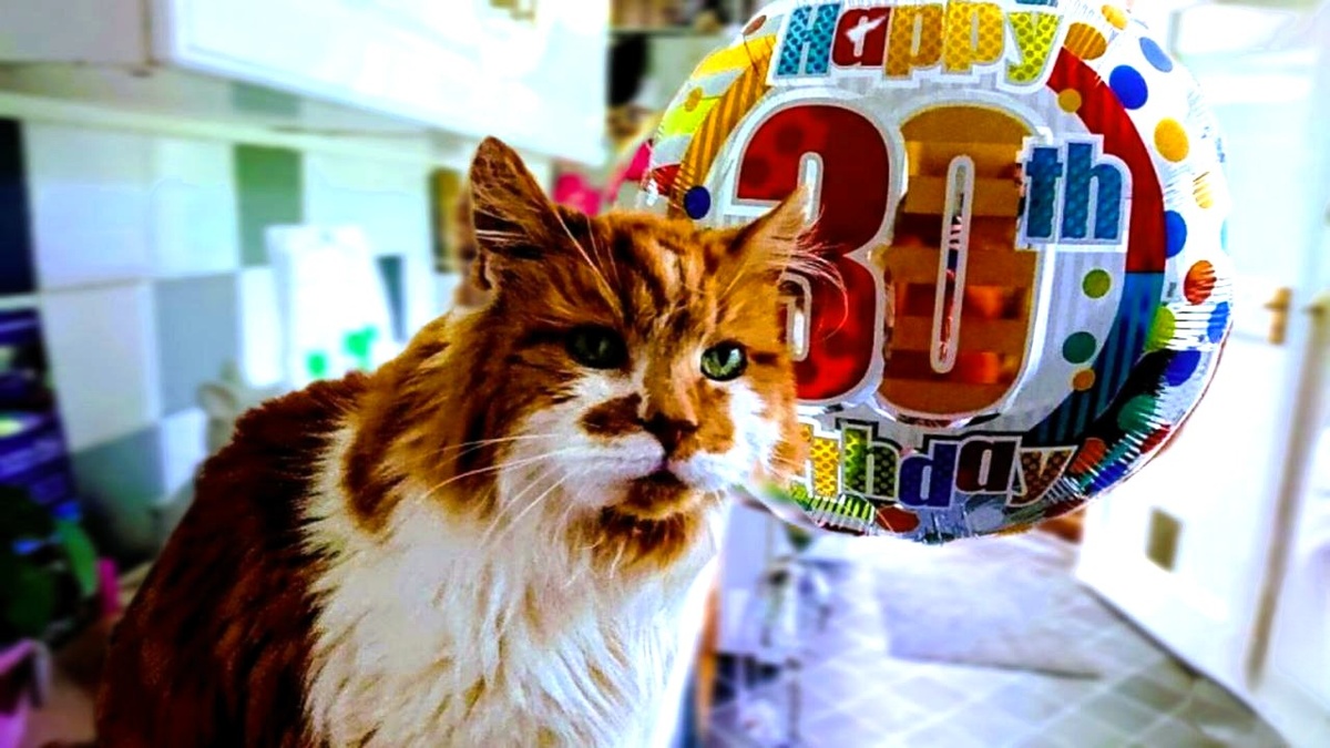 Раббл в свой последний день рождения