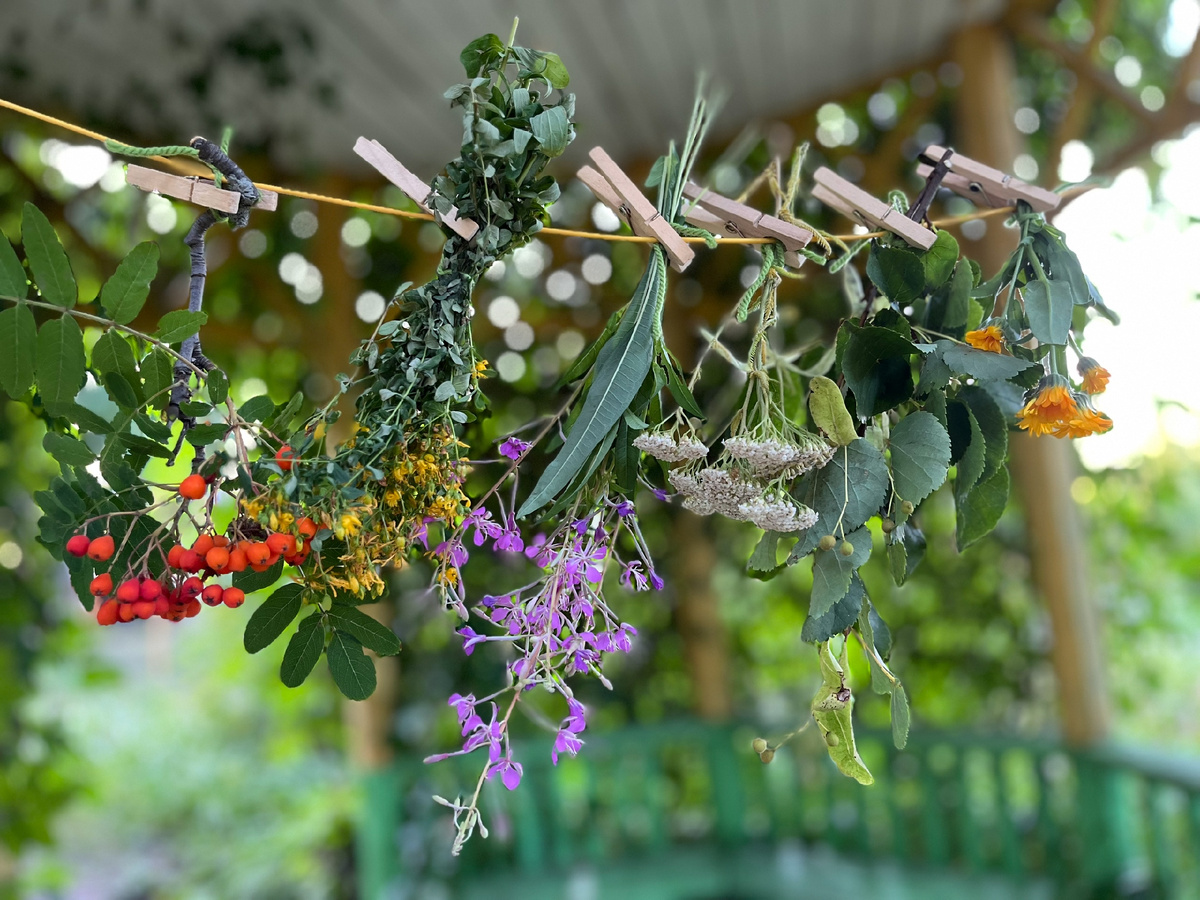 Сушим травы таким образом