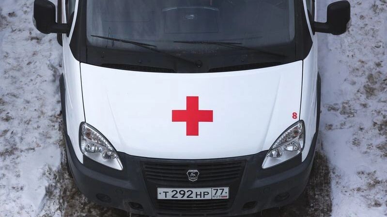    Фото: Yuriy Stankevich/Shutterstock/Fotodom