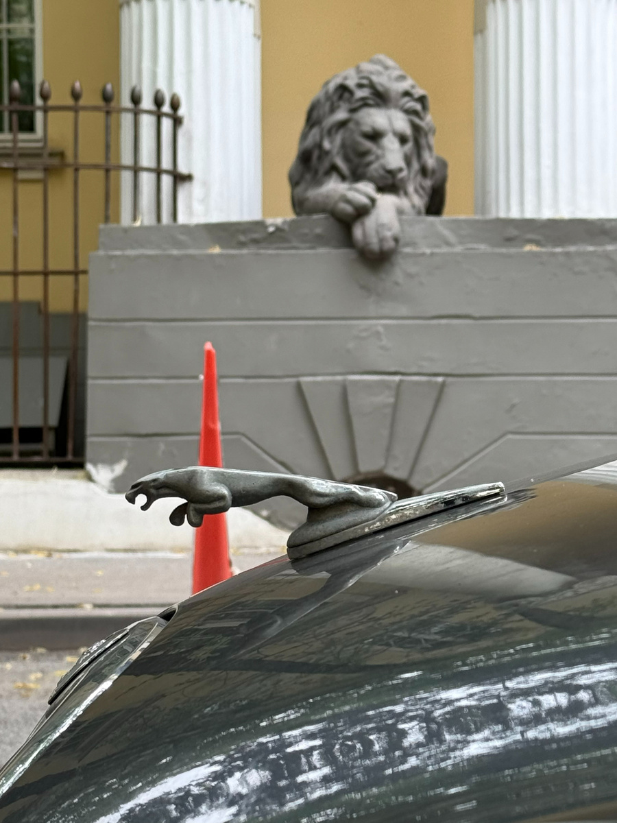 Фото автора канала. Особняк В.Н. Грибова.