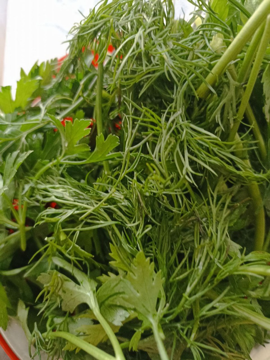 свежая зелень на столе - здоровье  в дом