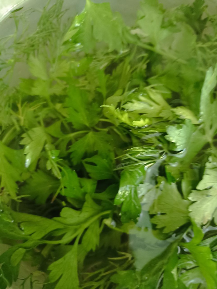 петрушка, личные фото