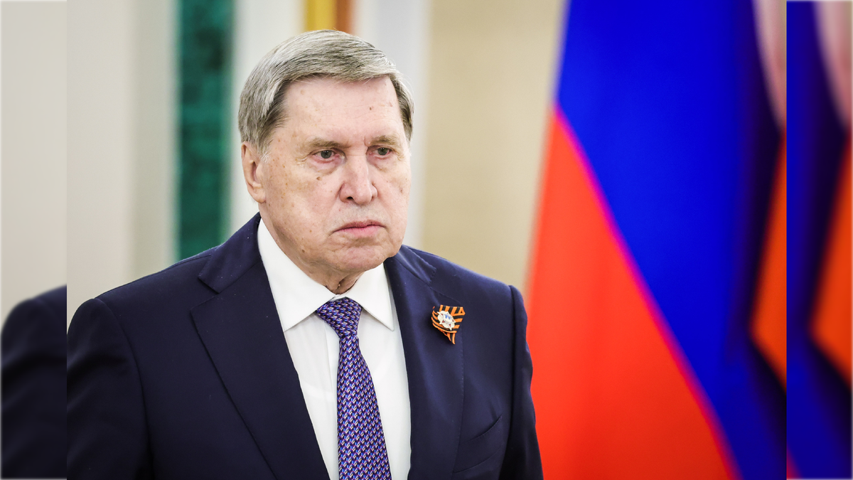 Фото: Roman Naumov/globallookpress.com