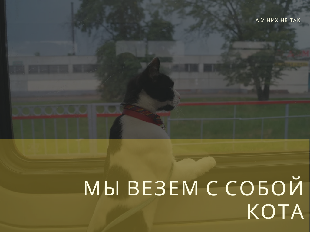 Фото: santreyd.ru