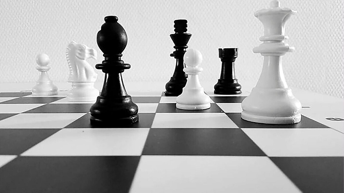 фото из открытых источников интернета