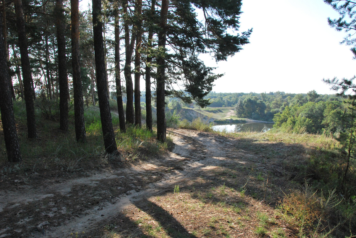 Въезжаем в деревню со стороны леса