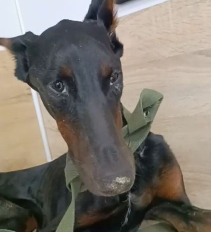 Источник фото: Соцсети Ольги Мосиюк