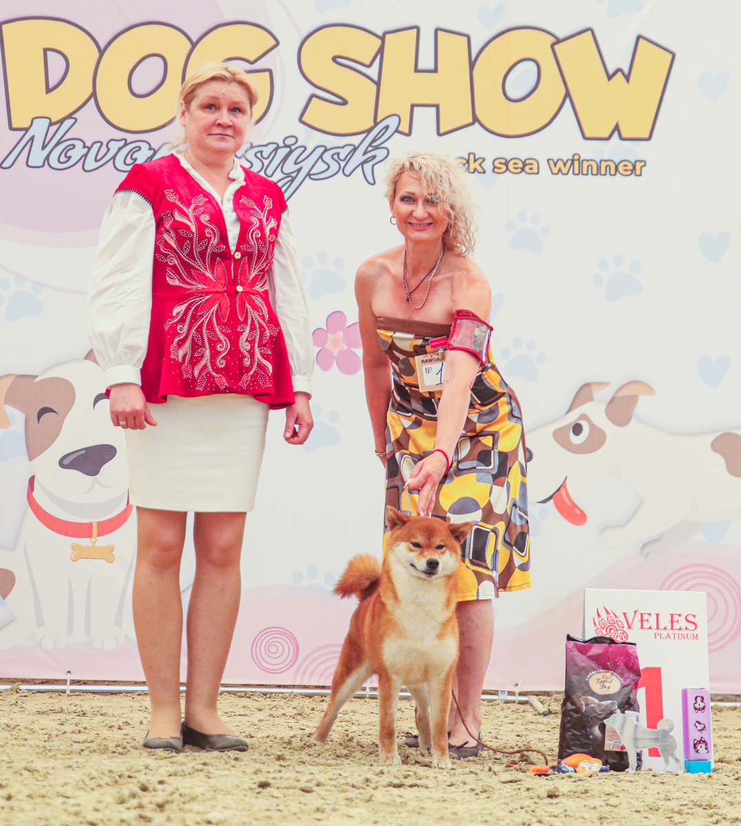 Ваттсумару лучший представитель породы на монопородной выставке г. Новороссийске 2025г