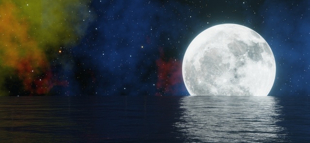    Фото: Suchada Khamwan (vecteezy.com) Pudra