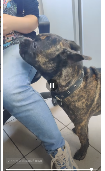 скриншот автора