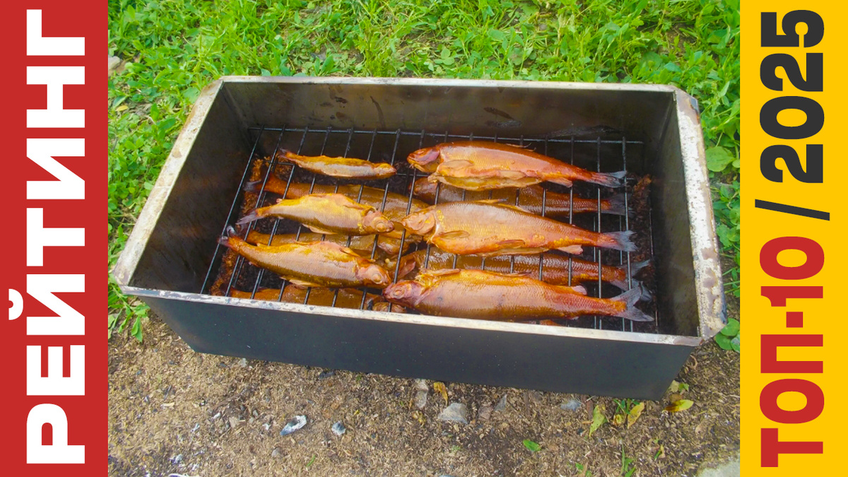 ТОП-10 Коптилен 2025 года: Рейтинг лучших моделей