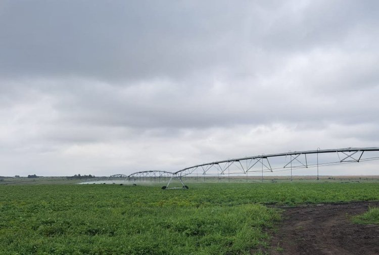    Фото: Минсельхоз Пензенской области