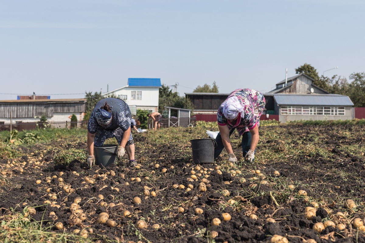 Designed by Freepik. Источник: www.freepik.com