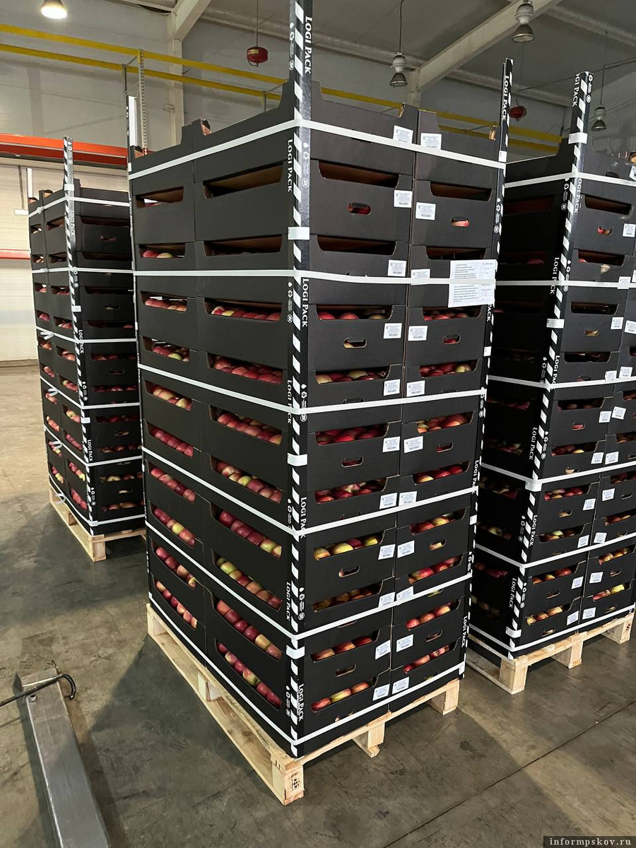 Фото: пресс-служба Северо-Западного межрегионального управления Россельхознадзора