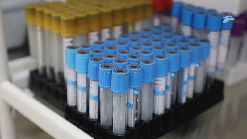      Фото: Дмитрий Ахмадуллин / / ИА «Победа26»